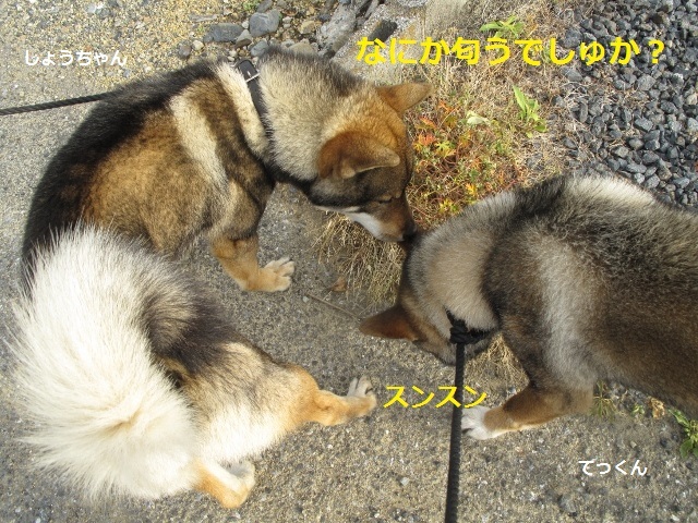f0143123_13362305.jpg