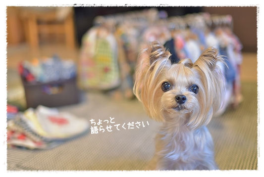 d0179828_14282189.png