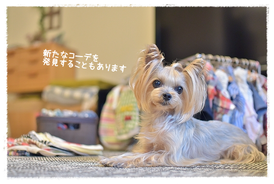d0179828_14321591.png