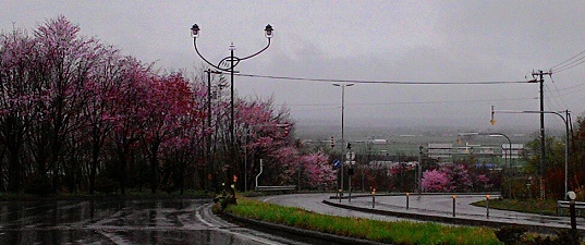c0188229_14443850.jpg
