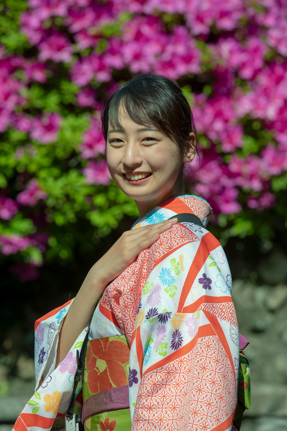 美 夢中に 美人美人 美人を求めて 美を求めて 自然を求めて アルプスを求めて 自然の美と美 野山の散策