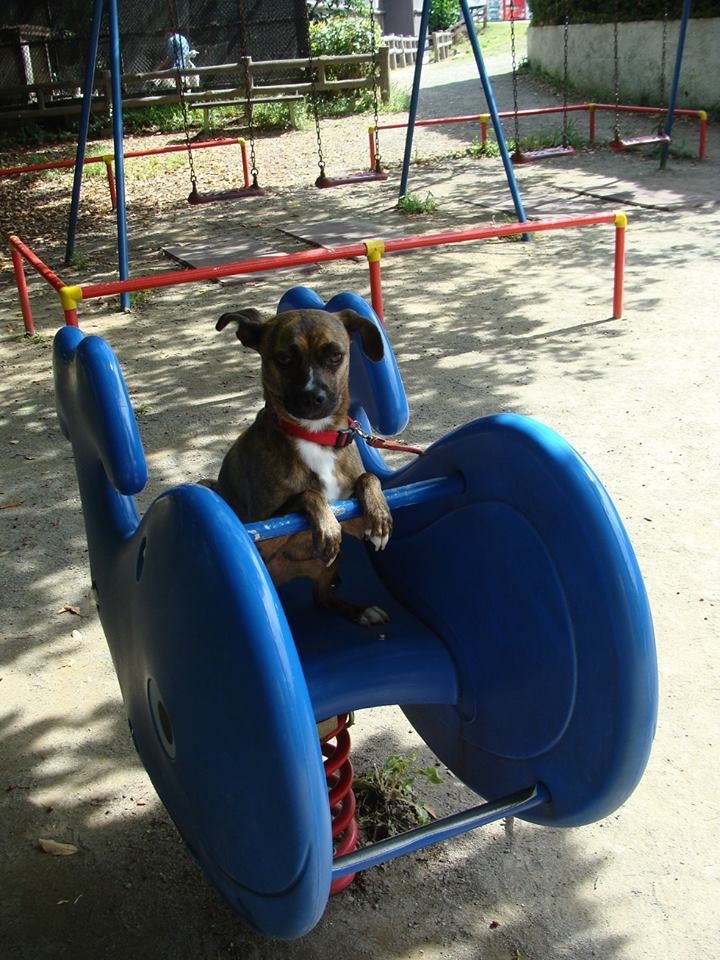 d0269832_07423236.jpeg