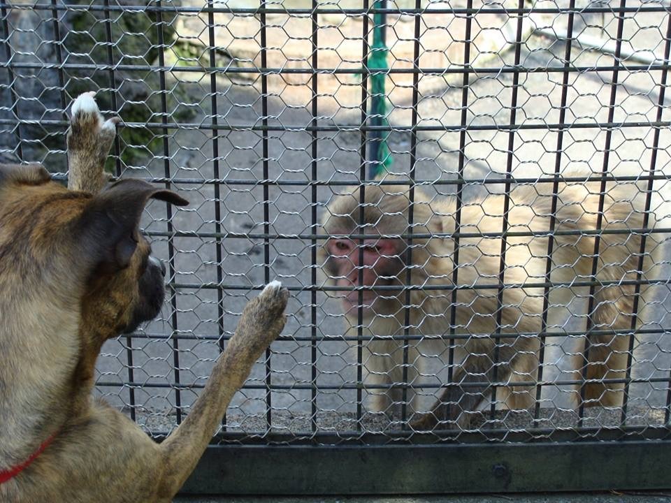 d0269832_07435381.jpeg