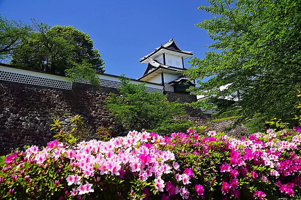 a0287533_22013277.jpg