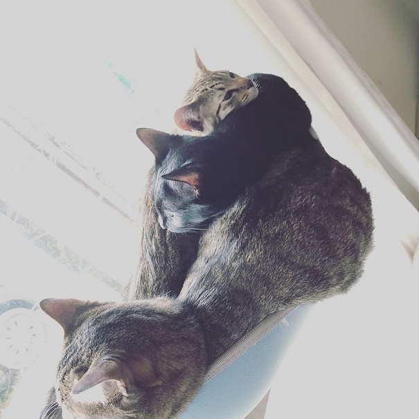 c0367433_15334202.jpeg