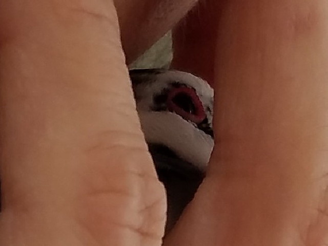 c0365734_21225045.jpg