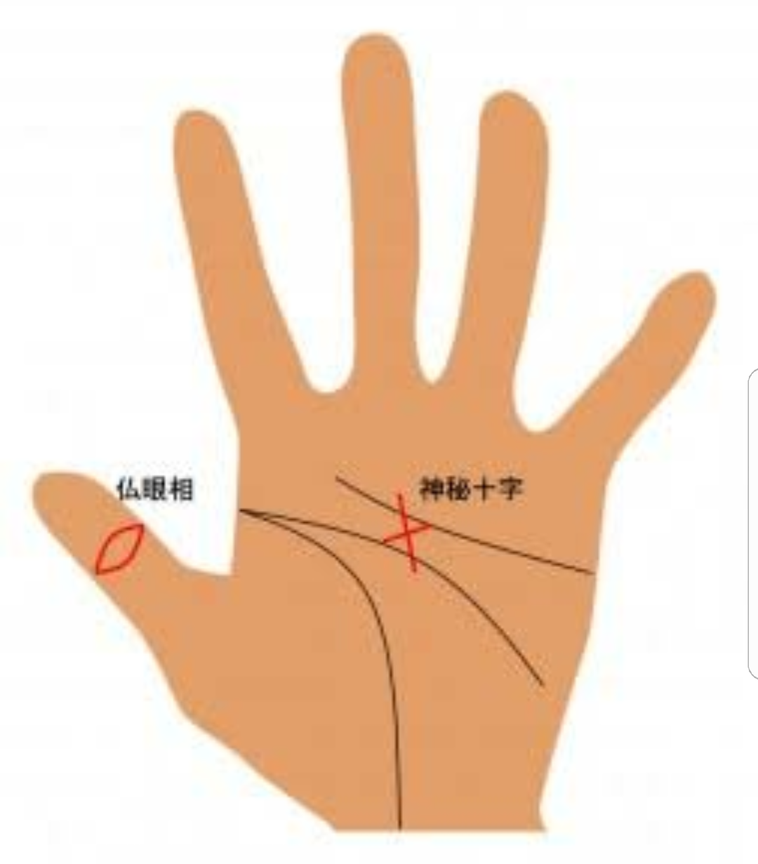 神秘十字線と仏眼 マウム デロ カスメセキダ