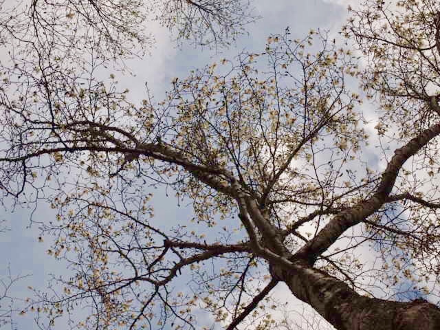 a0329935_06364355.jpeg