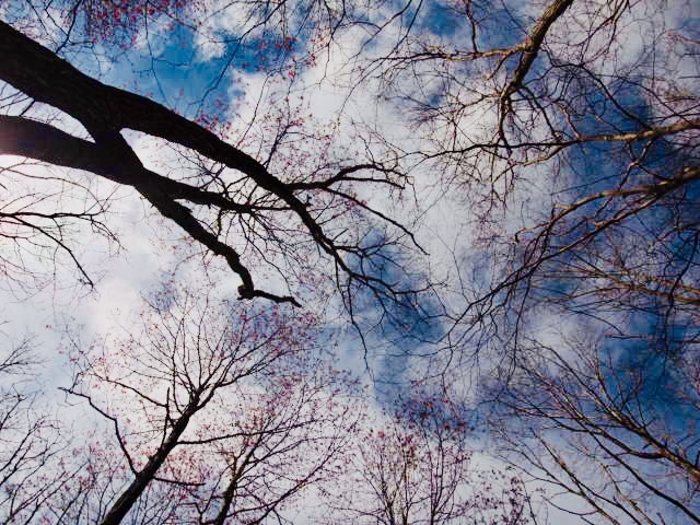 a0329935_07072239.jpeg