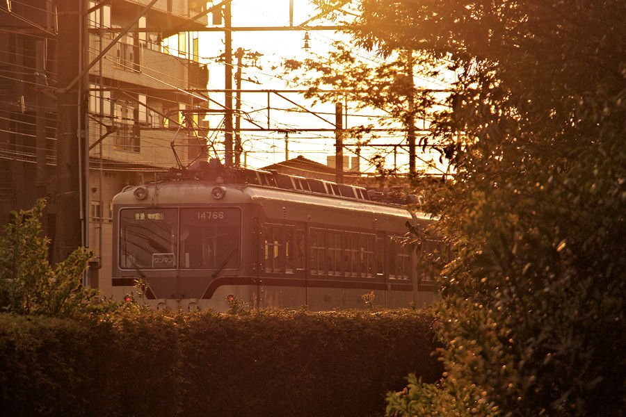 d0362235_21434154.jpg