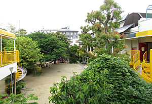 e0325335_753998.jpg