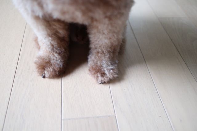 c0220337_21110010.jpg