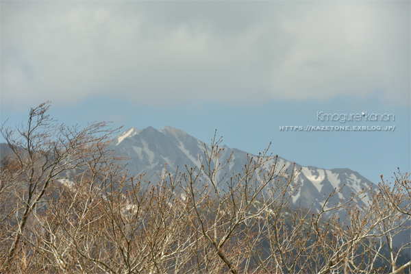 奥深き奥大山①**会いたいコがいる❤_b0197639_16115127.jpg