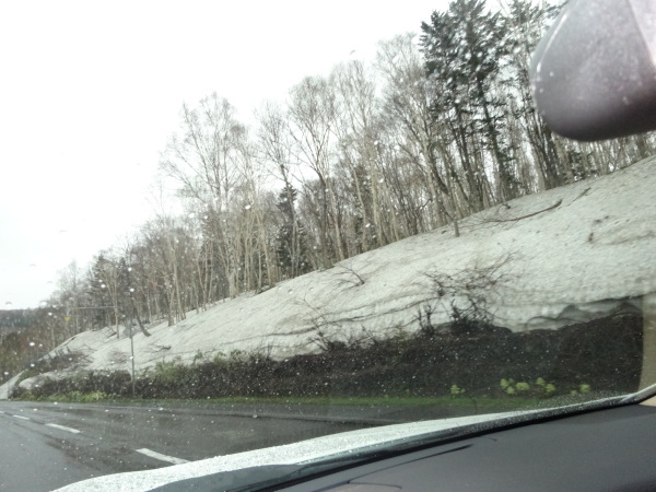 f0369840_20281145.jpg
