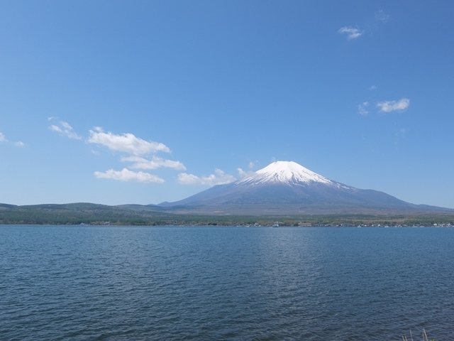 d0132743_22022348.jpg