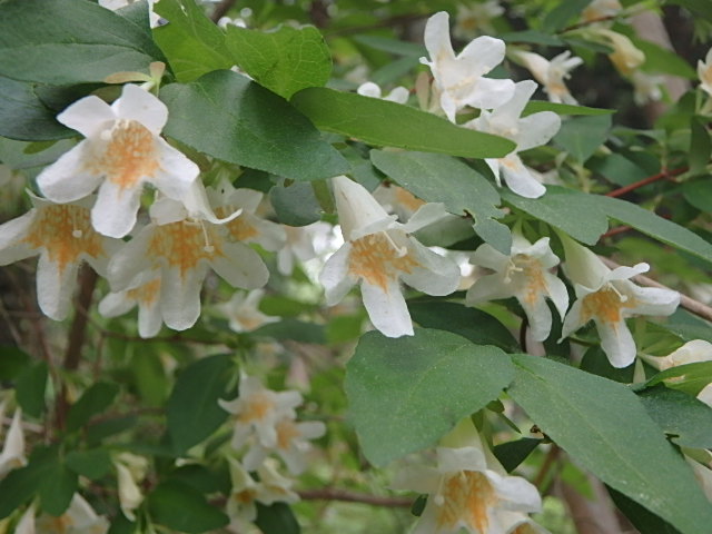 f0334143_2012159.jpg