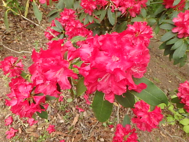 f0334143_2012503.jpg