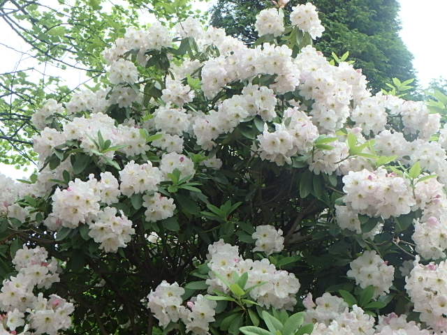 f0334143_20142037.jpg