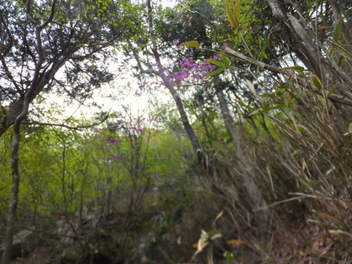 e0041047_05040589.jpg