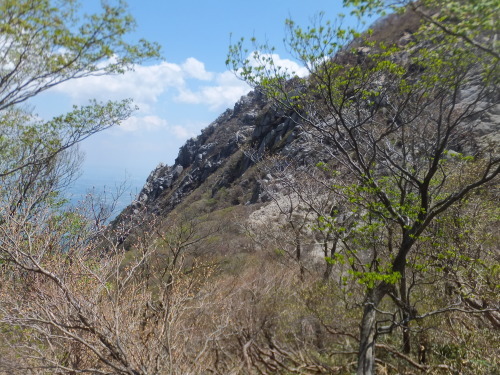e0041047_05122382.jpg