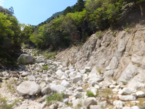e0041047_05134413.jpg