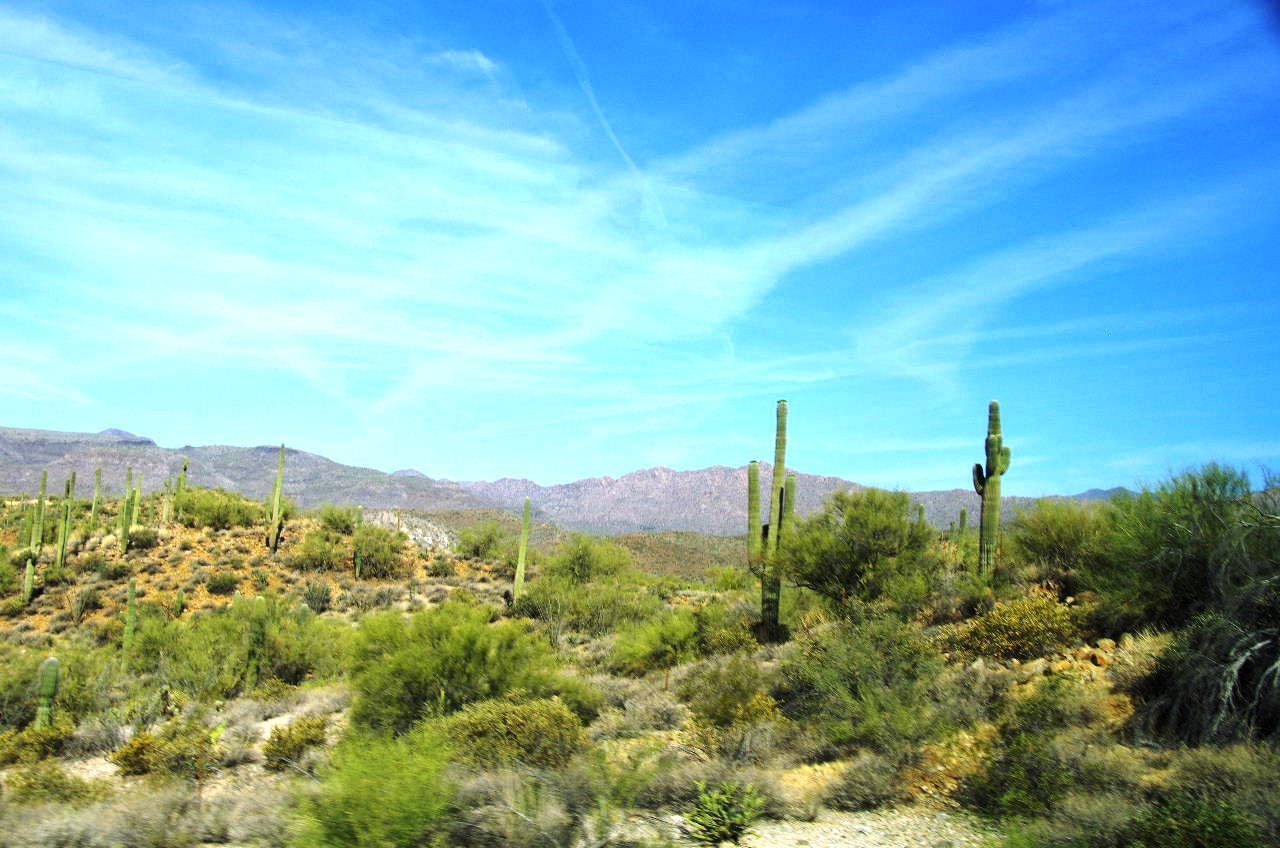 c0011649_00232339.jpg