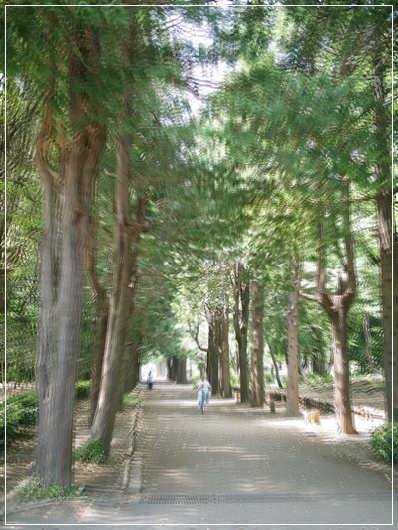 d0013149_23552653.jpg