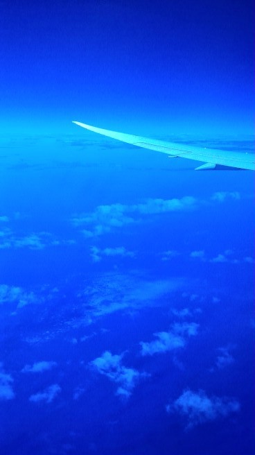 d0225149_18535903.jpg