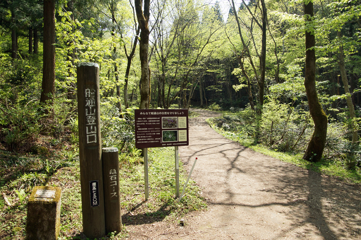 f0214649_05383134.jpg