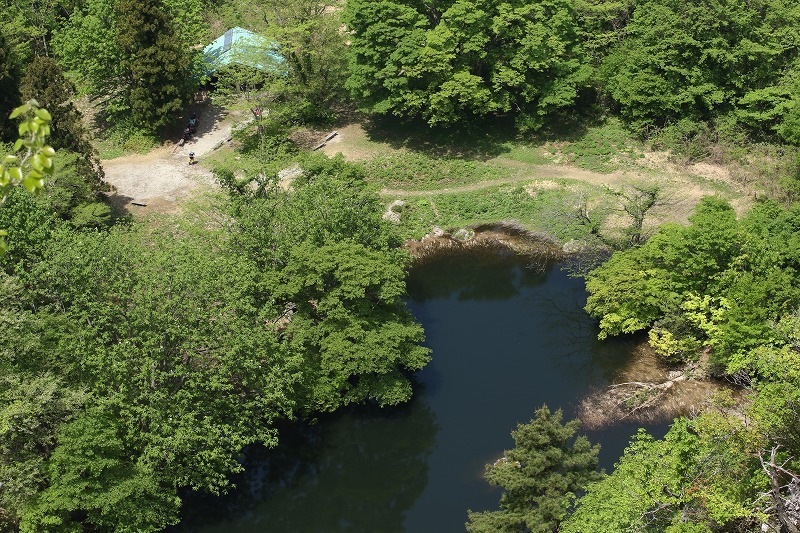 c0155950_13081339.jpg