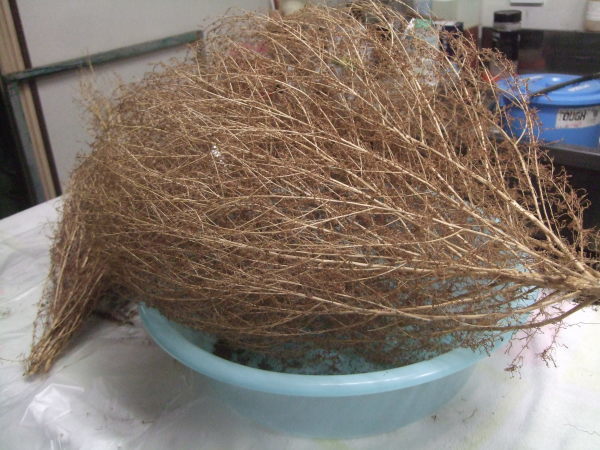 c0100555_20133440.jpg