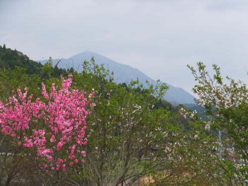 b0276758_15281668.jpg