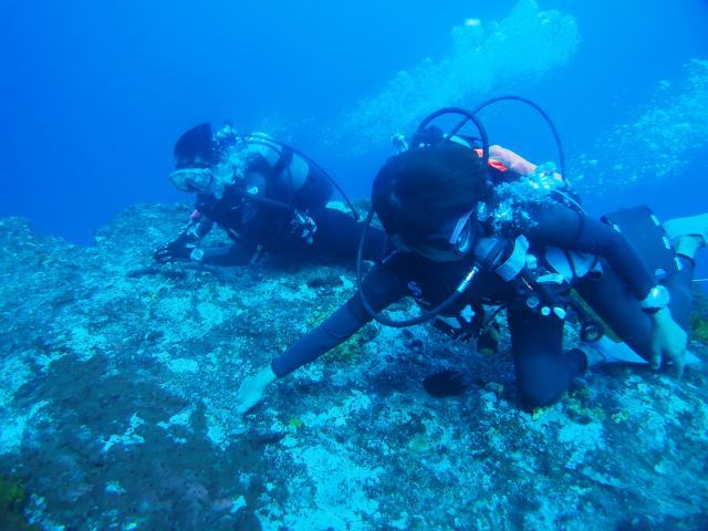 d0113459_17073386.jpg