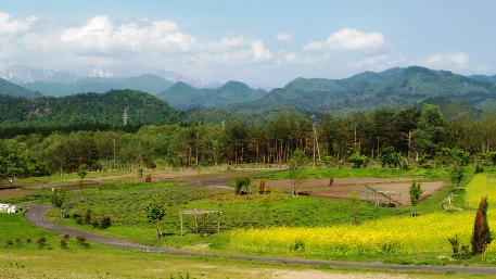 c0190960_6493671.jpg