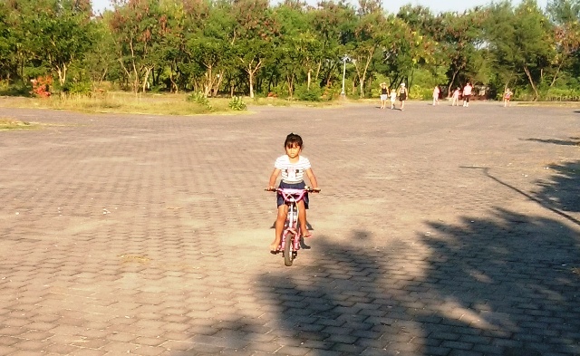 自転車の三角乗り あけっぴろげてあらいざらいのあるがまま