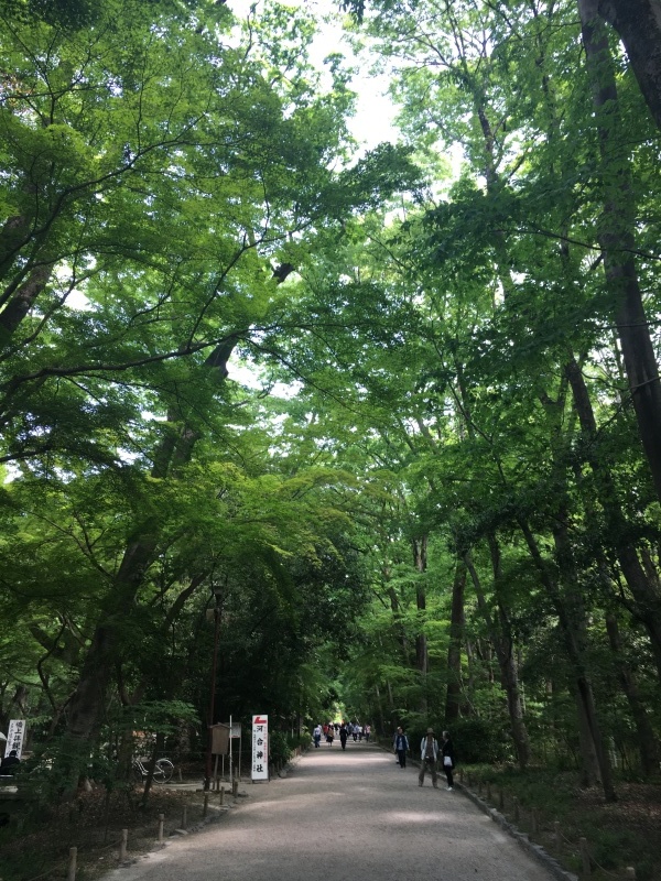 下鴨神社で笑いヨガ_f0363168_18311707.jpeg