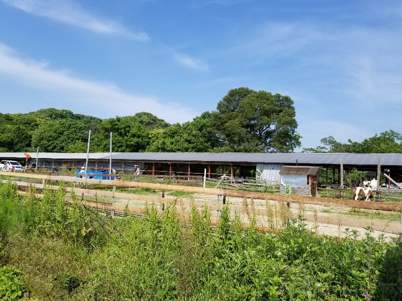 c0363369_06434772.jpg