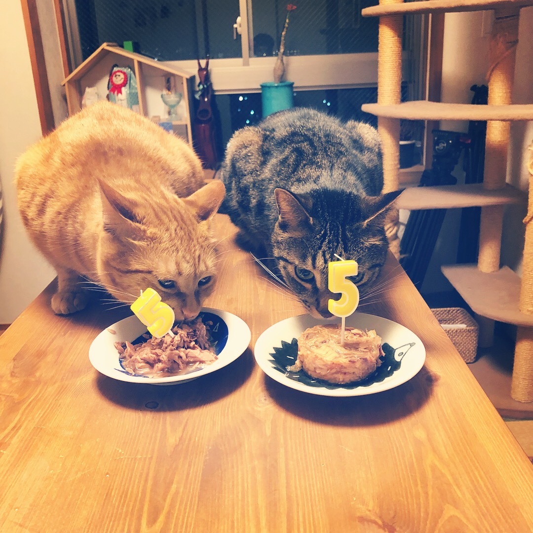 こどもの日はお誕生日!_e0158970_17341844.jpg
