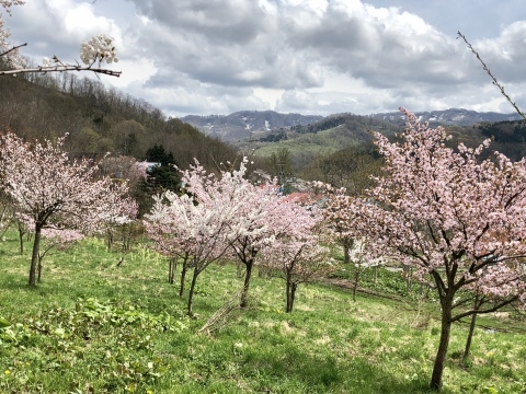 f0348775_10083527.jpeg