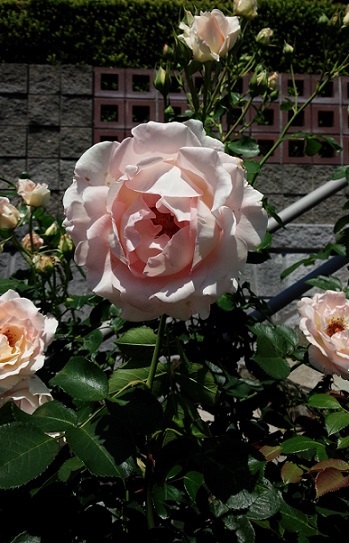 f0321179_16173083.jpg