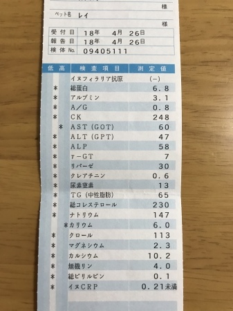 b0193480_14222633.jpeg