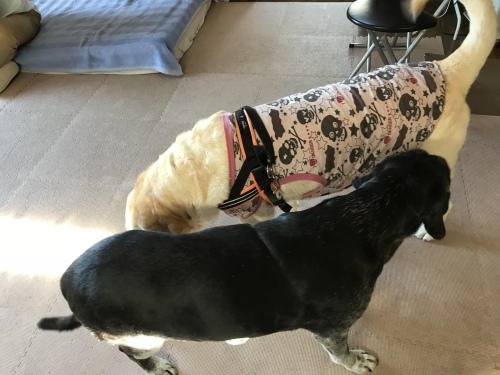 f0315081_22425210.jpeg