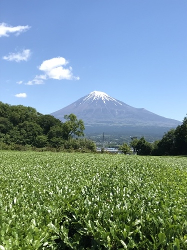 f0315081_22481009.jpeg