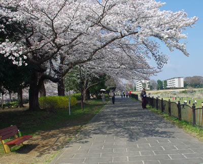 b0123486_06544395.jpg