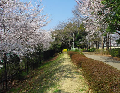 b0123486_07422906.jpg