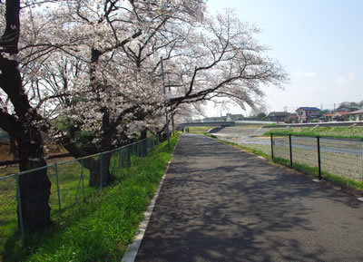 b0123486_08574940.jpg