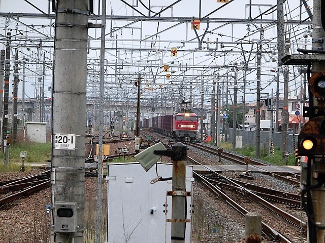 d0181492_23465885.jpg