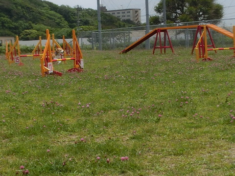 a0319693_624716.jpg