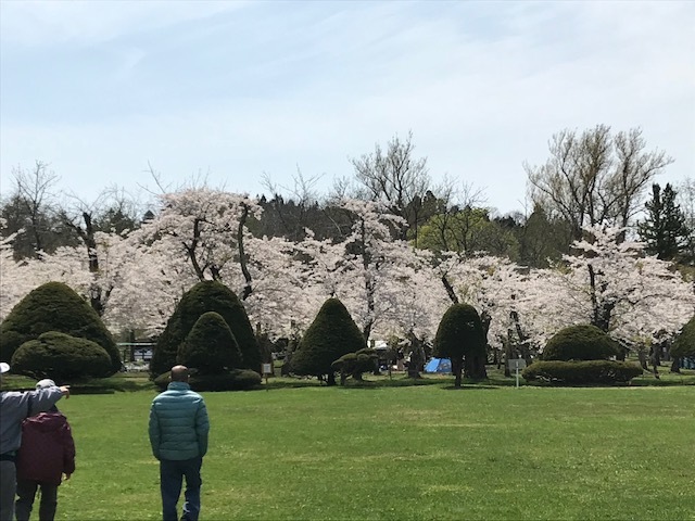 c0205393_16581349.jpg
