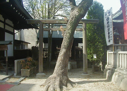 ●神社の造形―大阪天満宮、その５_d0053294_03155280.jpg
